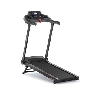 Беговая дорожка Shrike